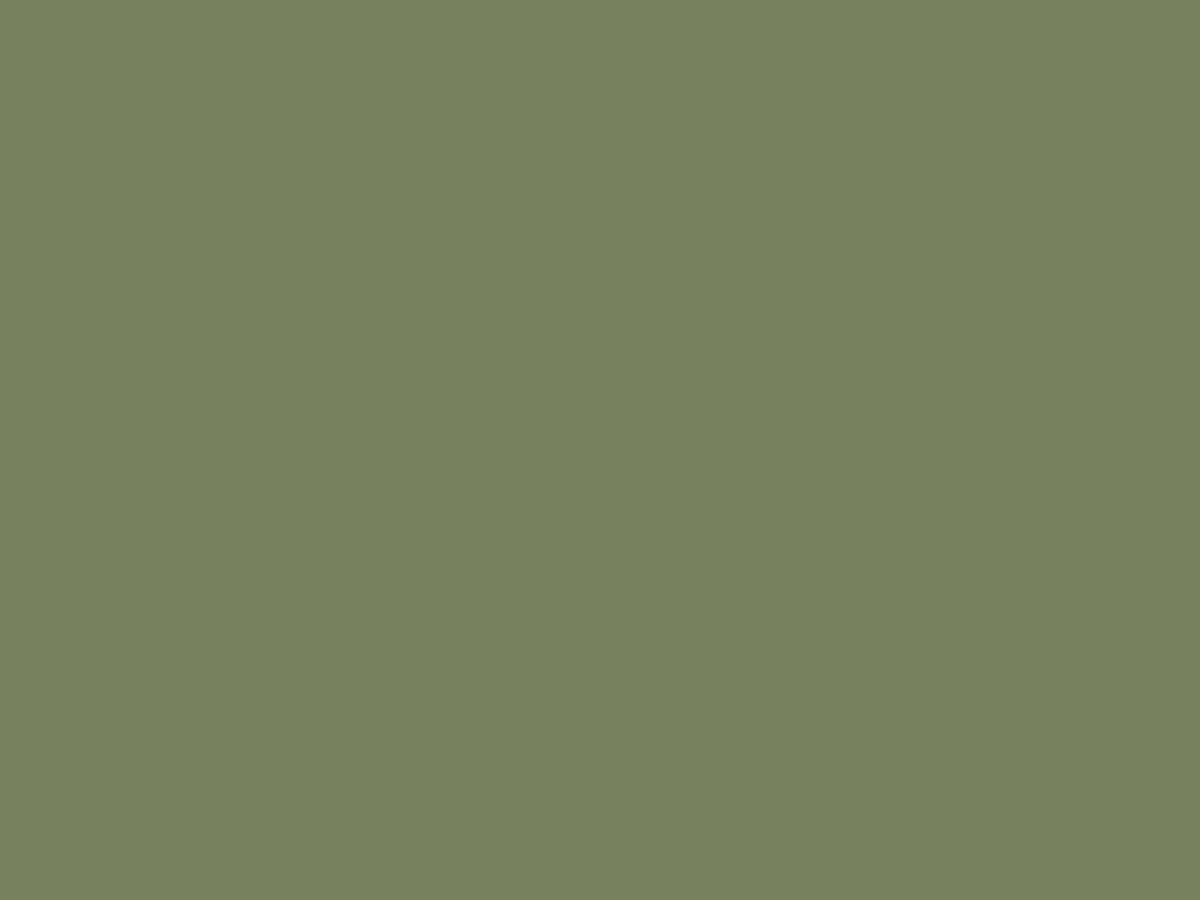 Гимназия №1505